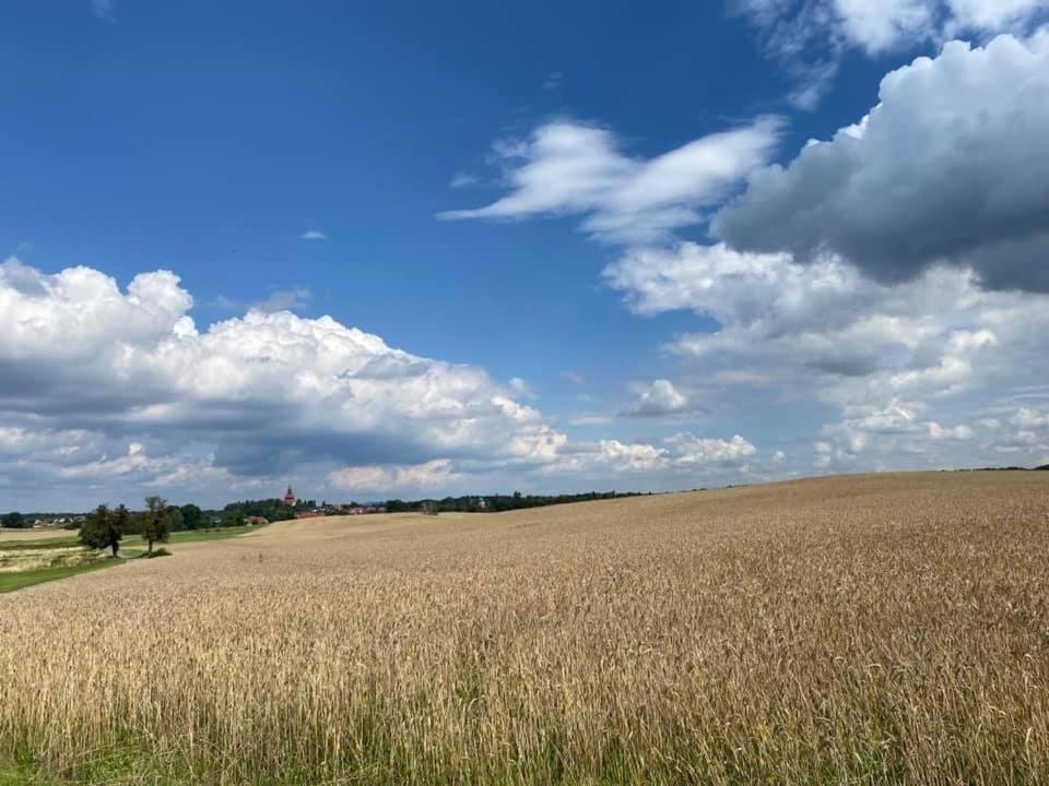 Apartament Hof Tuerke Moritzburg Zewnętrze zdjęcie