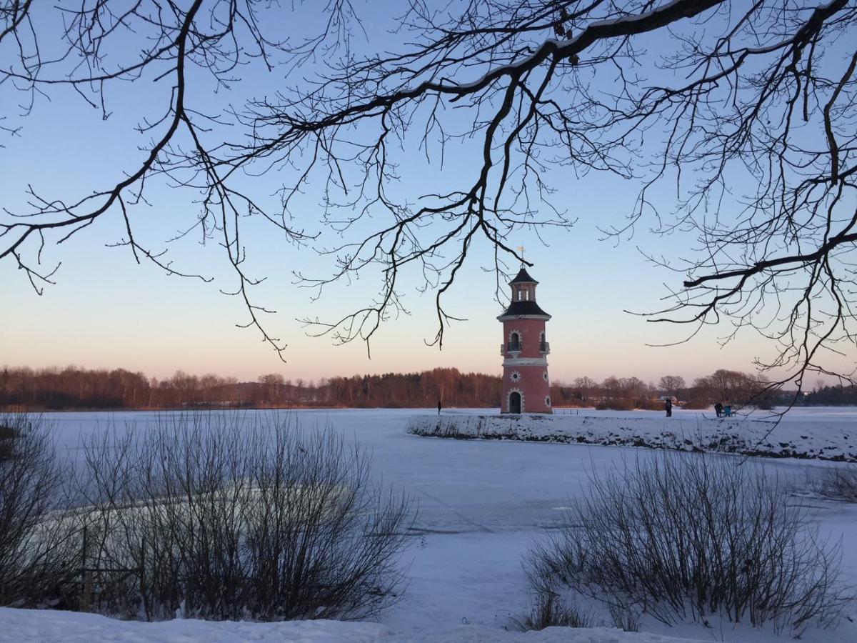 Apartament Hof Tuerke Moritzburg Zewnętrze zdjęcie
